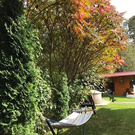 Pensiunea Silva Dobra Şugag Exteriör bild