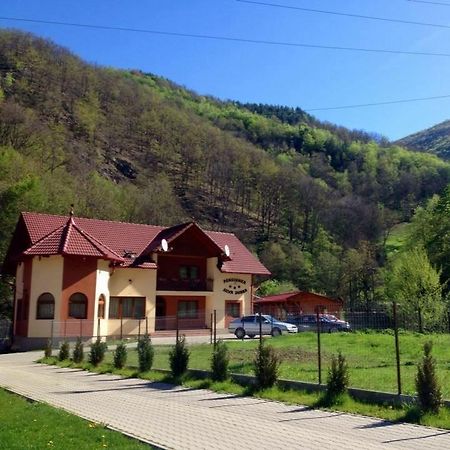 Pensiunea Silva Dobra Şugag Exteriör bild